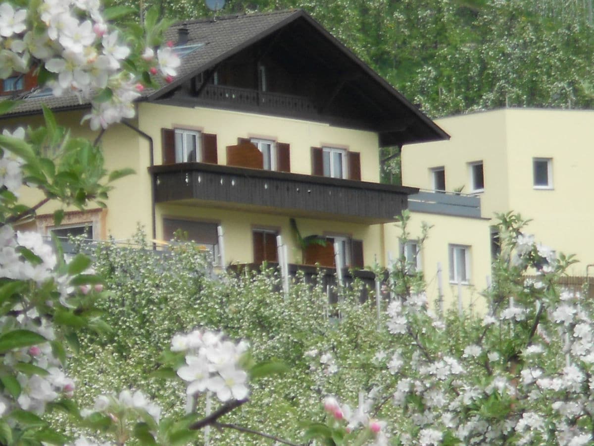 Apfelblüte am Oberbrunnhof