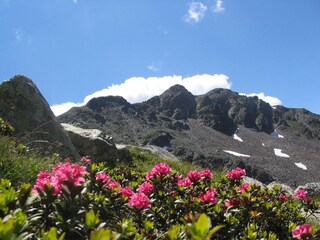 Appartamento per vacanze Naturns Ambiente 20