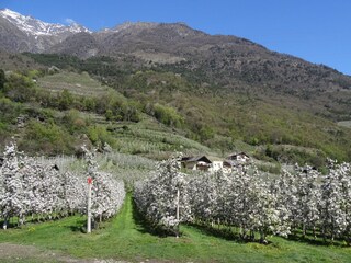 Vakantieappartement Naturns Buitenaudio-opname 2