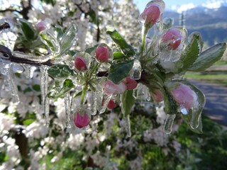 Appartamento per vacanze Naturns Registrazione all'aperto 3