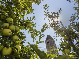 Appartamento per vacanze Naturns Ambiente 14