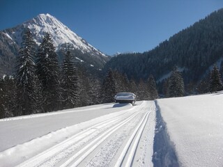 Holiday apartment Au in Vorarlberg Environment 32