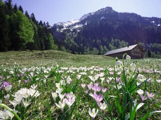 Appartamento per vacanze Au in Vorarlberg Ambiente 25