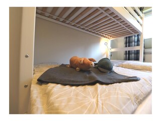 Apartamento de vacaciones Burg auf Fehmarn Características 13