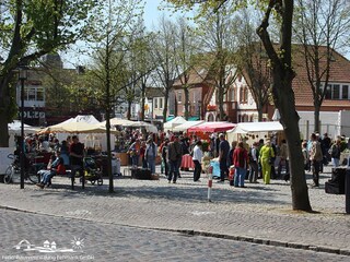 Appartamento per vacanze Burg auf Fehmarn Ambiente 24
