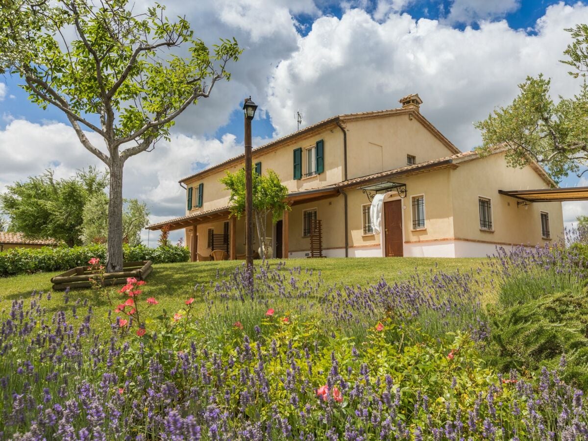 Ferienwohnung Barchi Außenaufnahme 7