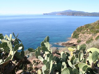 Villa Capoliveri Buitenaudio-opname 3