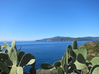 Kakteen und Meer schaffen eine zauberhafte Atmosphäre.