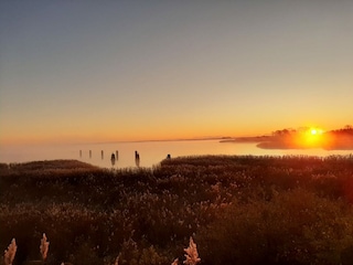 Abendstimmung hier am Bodden