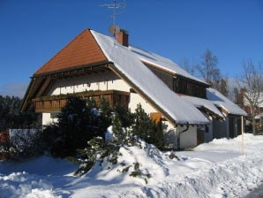 Ferienwohnung Haus Sattler, Nichtraucher - Grafenhausen - image1