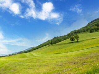 Casa per le vacanze Niedernsill Ambiente 27
