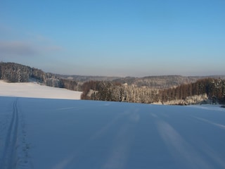 Villa Stupna Environment 31