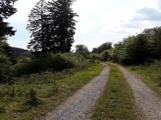 Appartamento Olsberg Ambiente 29