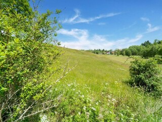 Appartement Olsberg Environnement 24