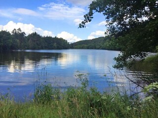 Appartement Olsberg Environnement 39