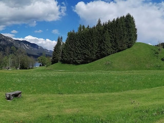 Panoramabild