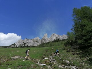 Gartnerkofel wandern