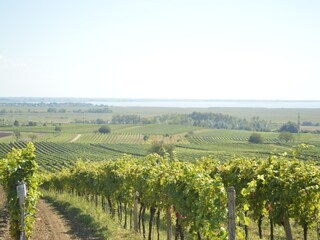view over the lake