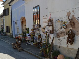 Appartement Mönchhof Omgeving 14