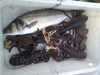 Casa per le vacanze Ploubazlanec Ambiente 19