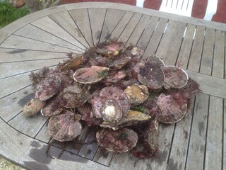 Casa per le vacanze Ploubazlanec Ambiente 21