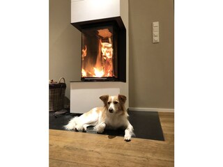 Holiday house Großenbrode Outdoor Recording 10