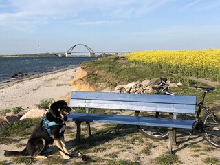 Holiday house Großenbrode Environment 27