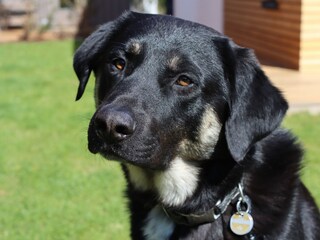 Holiday house Großenbrode Outdoor Recording 8