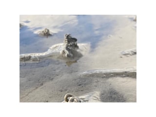 Ferienhaus Dorum-Neufeld Umgebung 24