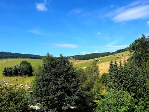 Ferienwohnung 4 im Ferienhaus Traumweide - Oberwiesenthal - image1