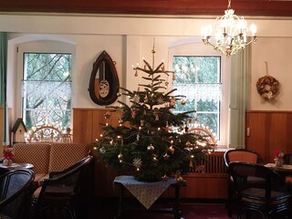Ein echter  Weihnachtsbaum für unsere Gäste