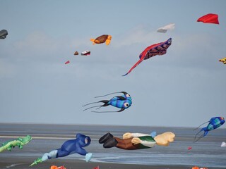 Drachenfest in Büsum