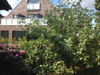 Blick zur Südterrasse