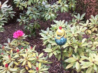 Apartamento de vacaciones Nettetal Grabación al aire libre 8