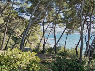 Appartamento per vacanze Le Pradet Registrazione all'aperto 12