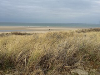 Vakantiehuis Kamperland Omgeving 19