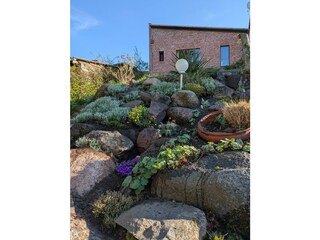 Steingarten im Frühling