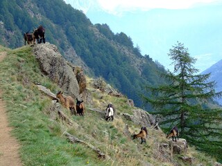 Appartamento Partschins Ambiente 18