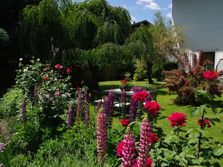 Appartamento Partschins Registrazione all'aperto 4