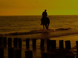 Bungalow Zoutelande Ambiente 16