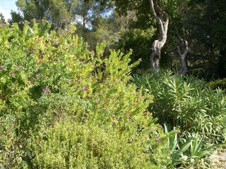 Holiday house Six-Fours-les-Plages Environment 18