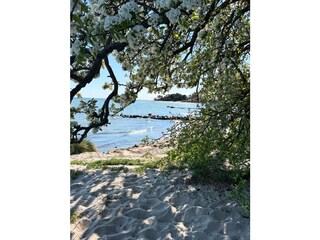 Appartamento per vacanze Thiessow Ambiente 21