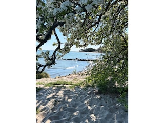 Direkt am Strand