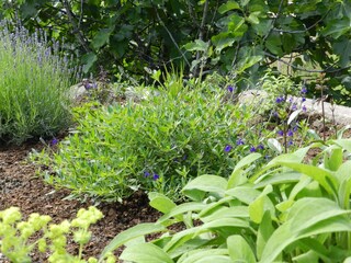 Appartamento per vacanze Lana Registrazione all'aperto 3