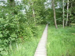 Vakantiehuis Monschau Omgeving 34