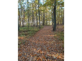 Casa per le vacanze Fuhlendorf Ambiente 35