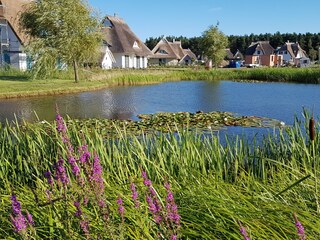 Casa per le vacanze Fuhlendorf Registrazione all'aperto 4