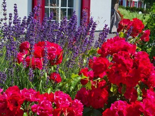 Casa per le vacanze Fuhlendorf Registrazione all'aperto 7