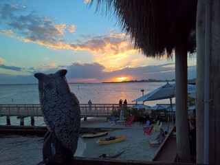 Villa Cape Coral Environnement 37