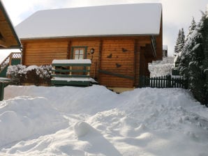 Ferienhaus Der Fuchsbau - Blockhaus 3 - Bad Sachsa - image1